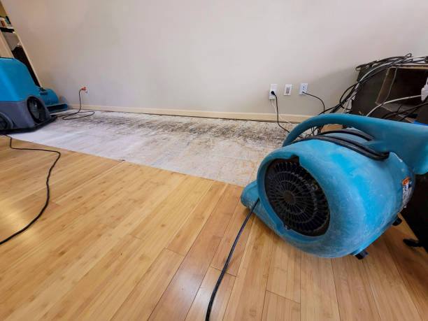 Professional Water Removal technician working in Memphis, TX
